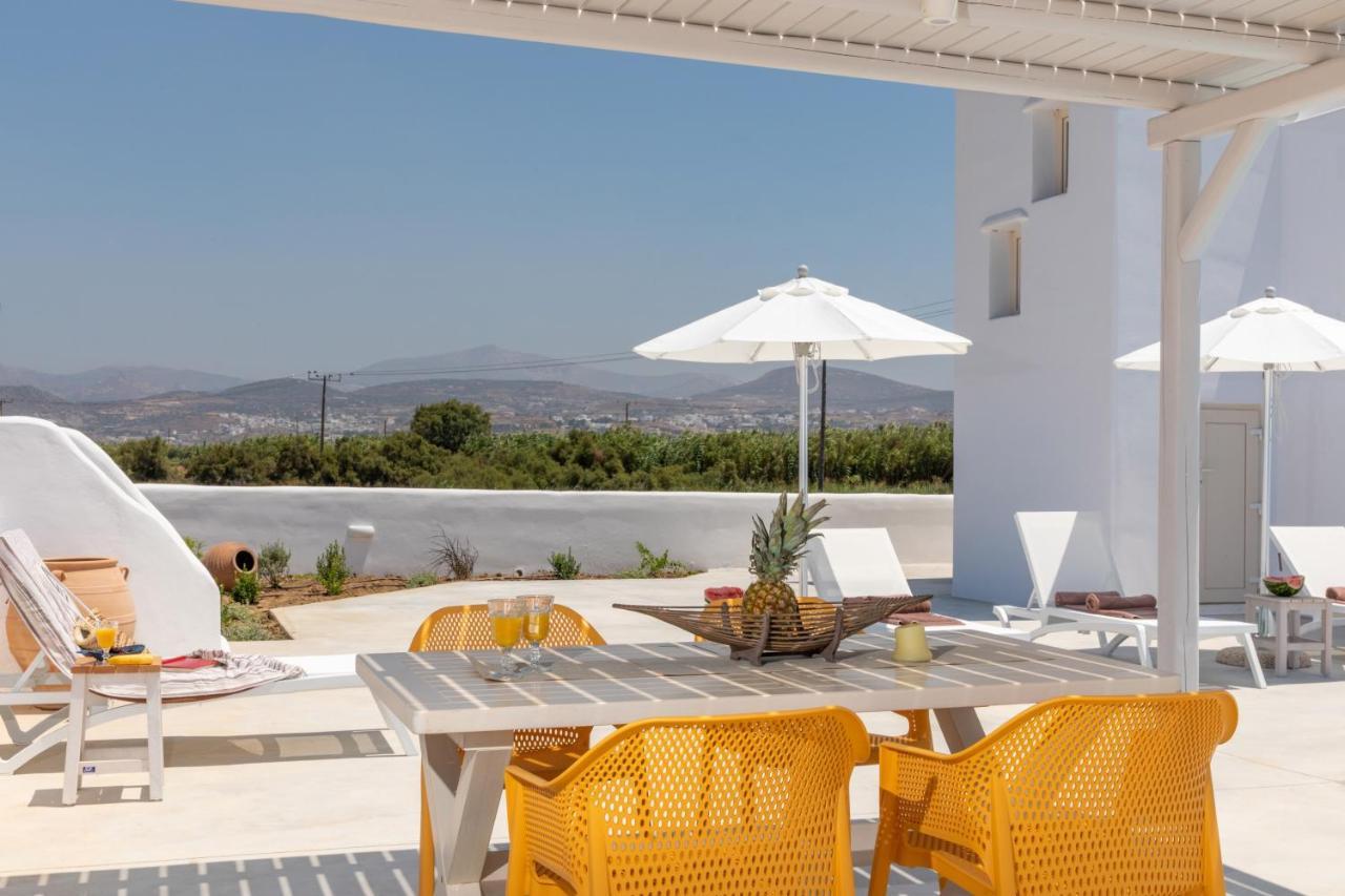 Naxian Lounge Villas Naxos City Buitenkant foto